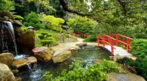 Parque da Cerejeira de Campos do Jordão terá aulas de yoga nas manhãs de sábado