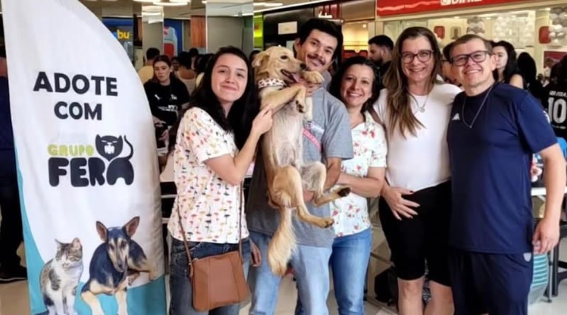 Patteo Urupema Shopping realiza adoção de cães e gatos